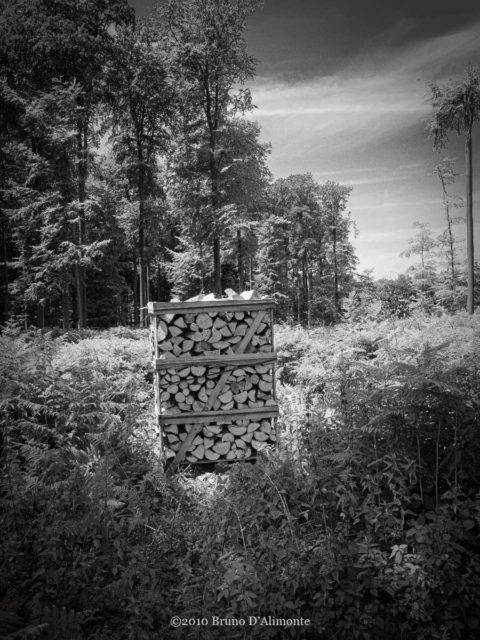 Bruxelles, forêt de Soignes, bois coupé et emballé est une sorte de narration de l'activité humaine qui réussit si bien la miniaturisation. Zone limite entre Auderghem et Jesus-Eik.© 2010 Bruno D'Alimonte