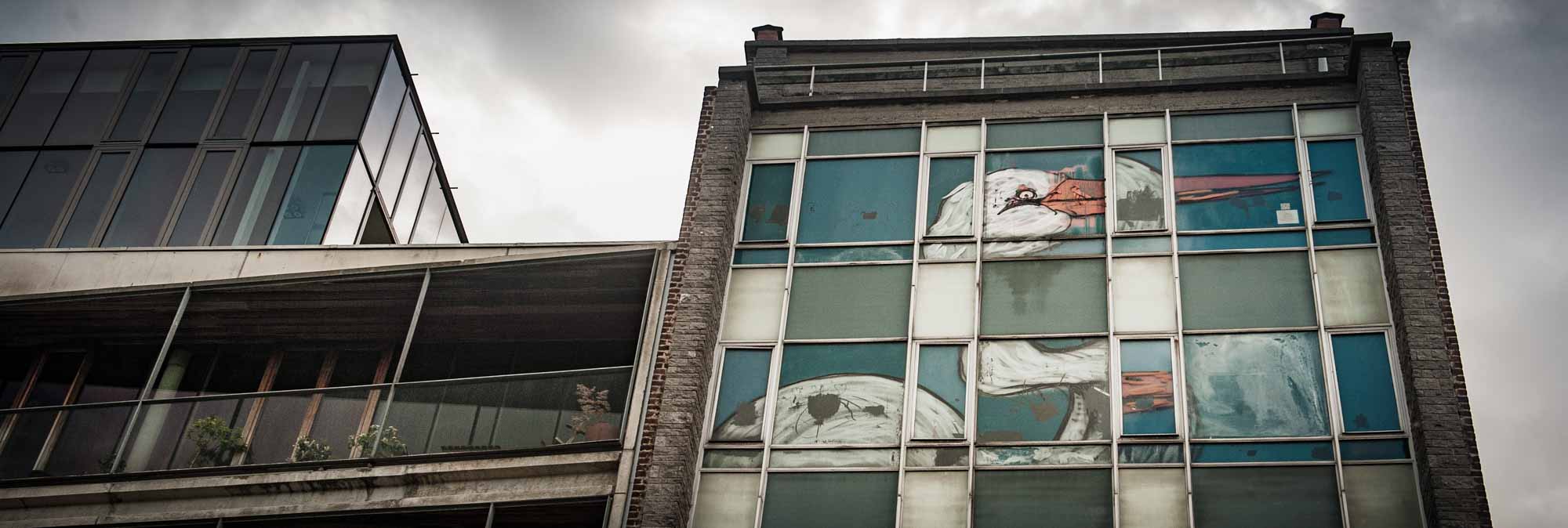 Détail de la fresque d'une cigogne réalisée par Bonom en 2012 rue de l'Héliport à Bruxelles