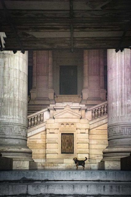 photographie du palais de justice de Bruxelles avec un chien isolé dont l'ambiance est humoristique © 2017 Bruno D'Alimonte