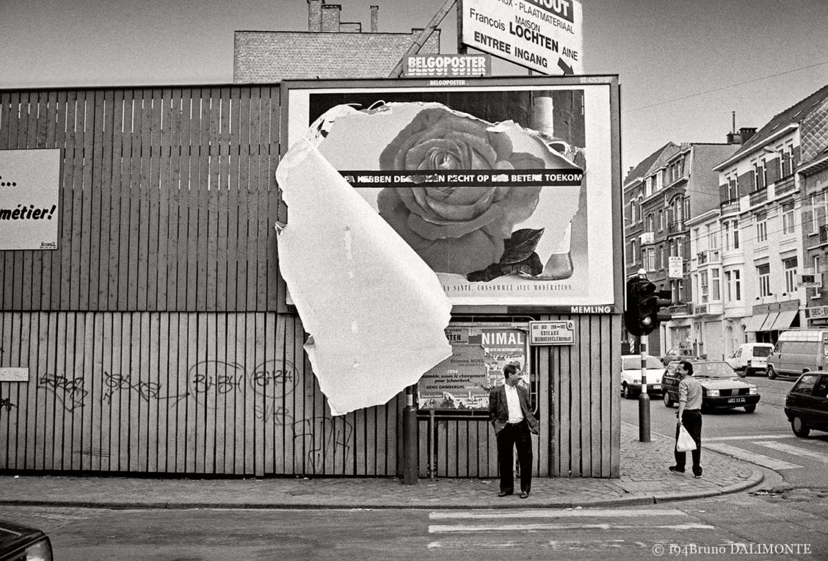 photographie du coin de la rue des coteaux et de l'avenue Rogier où une affiche à vocation publicitaire est déchirée, elle nous dévoile une rose qui éclot en milieu urbain.