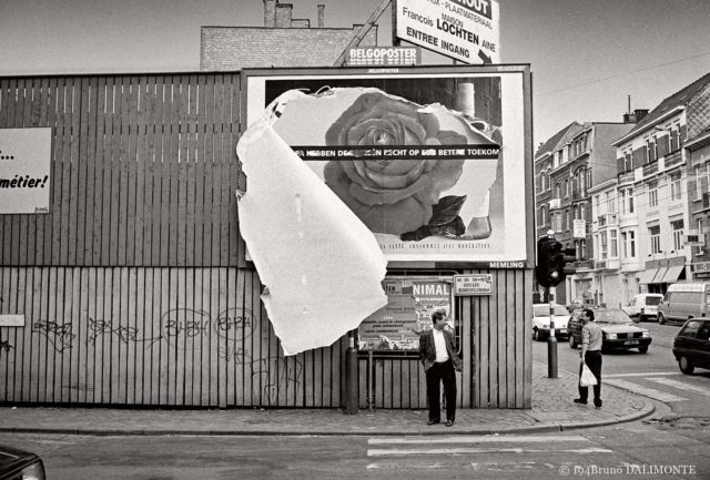 photographie poétique sur l'éclosion d'une rose en ville à Bruxelles © 1994 Bruno D'Alimonte