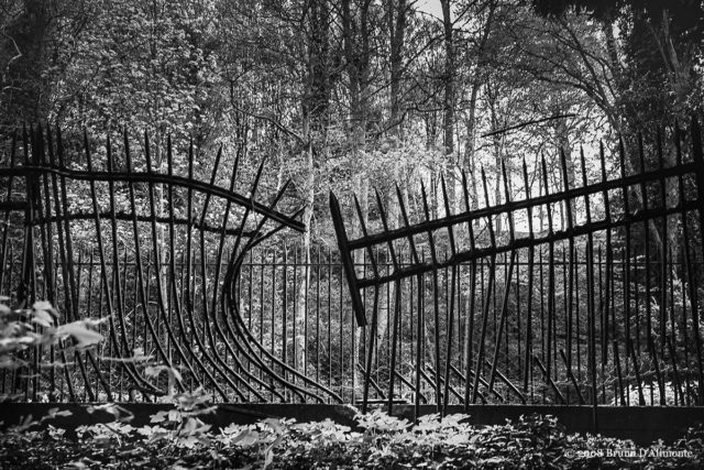 Photographie d'illustration sur le thème de la liberté ou de l'évasion réalisée à Laeken non loin de l'avenue des Ebéniers © 2008 Bruno D'Alimonte