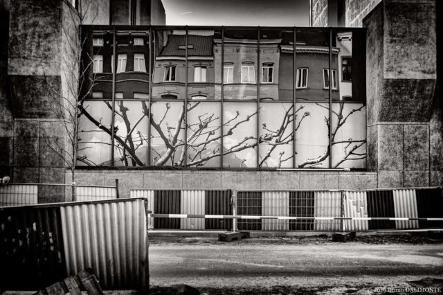 photographie en noir et blanc représentant un chantier dans la rue Froissart pour lequel une illusion de végétation est présente en trompe-l'œil. © 2019 Bruno D'Alimonte