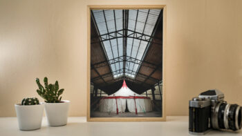 Refuge pour un Cirque – Image 2