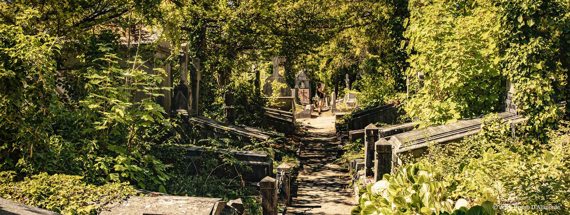 vue informative du cimetière du Dieweg à Uccle