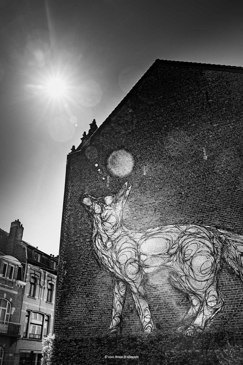 Fresque de Renard au parc du Mouchoir à Etterbeek Bruxelles