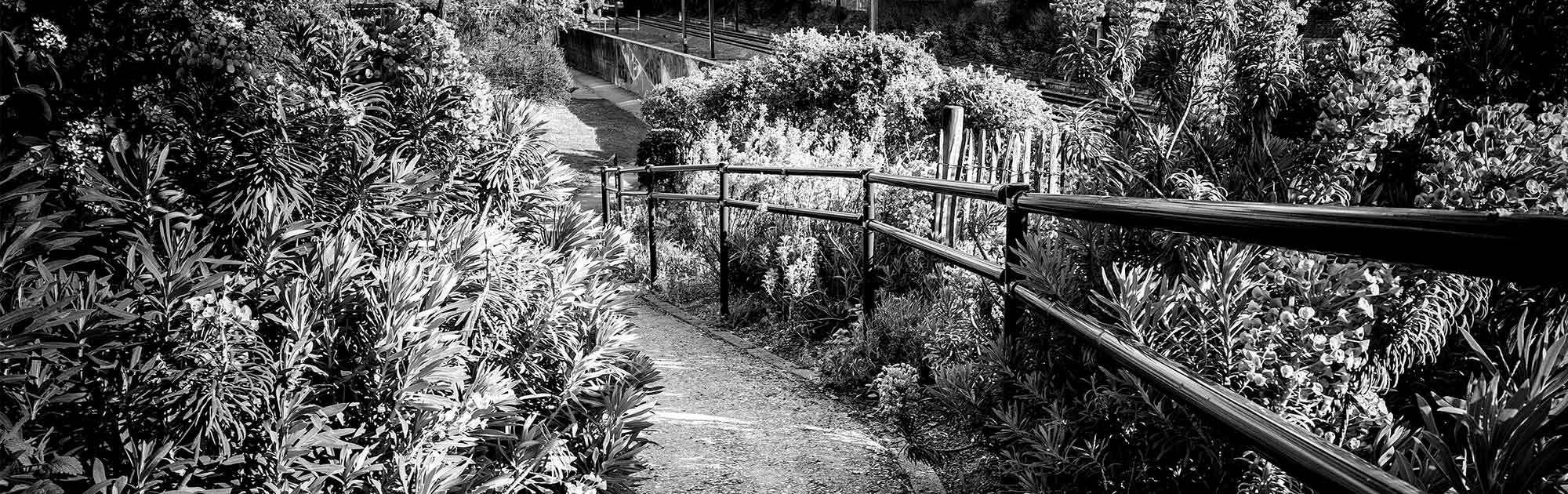 Jardin partagé avenue nouvelles Etterbeek détail